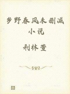 乡野春风未删减 小说